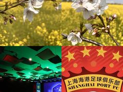 -上海体育场