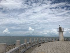-野狸岛