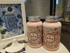 -野萃山·潮汕厚果汁(十亩地店)