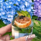 它唯一的缺点：北京三元桥限定……