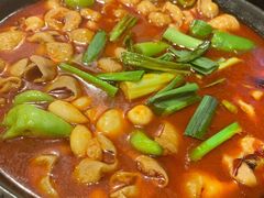 湘味肥肠火锅-湘肠香火锅店(团结湖店)