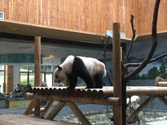-西安秦岭野生动物园
