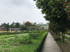 -洪湖家庭农场·团建·露营·会议