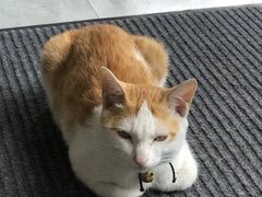 -WATER CAFE(广厦店)