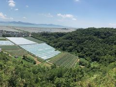 -伍山石窟