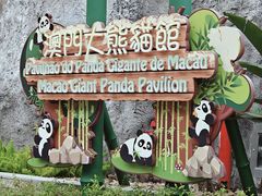 -石排湾郊野公园