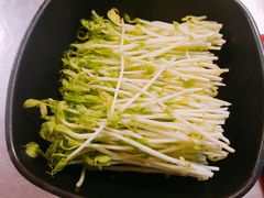-水哥卜卜贝(东晓·胜汇里店)