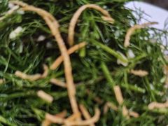 -全聚德烤鸭店(和平路店)