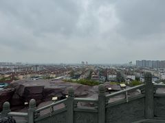 -上海东林寺(金山区)