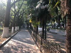 -湖北中医药大学(昙华林校区)