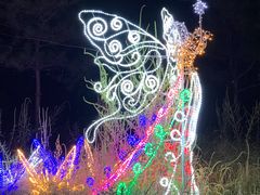 -北京鹿世界主题园