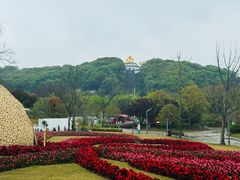 -苏州上方山国家森林公园