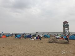 -碧海金沙