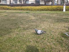 -自然谷恐龙园