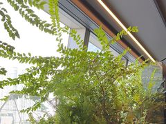 -柿合缘新京菜(国金中心商场店)