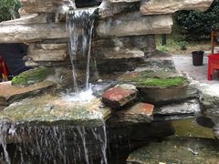 -二荆条·蜀鲜汇城市森林火锅