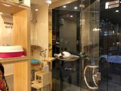 -e嘉宠物店(北大街店)