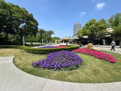 -新虹桥中心花园