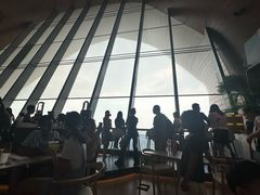 -抱抱地球咖啡馆(国家海洋博物馆店)