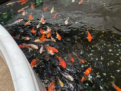 -广东大厦酒店(广州北京路步行街纪念堂地铁站店)