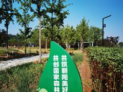 -马家湾湿地公园