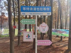 -上海海湾国家森林公园