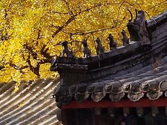-潭柘寺景区