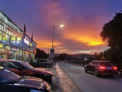 -八仔大富楼·河鲜(西江店)