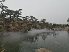 -罗红摄影艺术馆