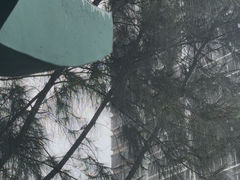 -讯号山花园