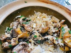 -红星光发煲仔饭(文海店)