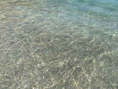-花海间·即刻露营