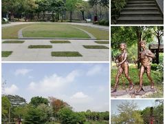 -王借岗森林公园