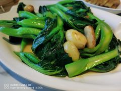 广东菜心-多多旺港式茶餐厅(新区店)