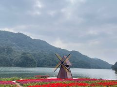 -广州市石门国家森林公园