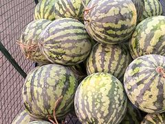 -冯校长老火锅(广州正佳广场店)