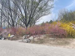 -北京凤凰岭