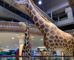 -鲁比猴非洲探索部落(喜盈门店)