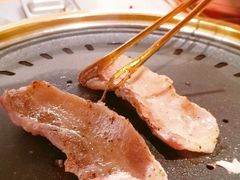 -杨小佳·齐齐哈尔烤肉·烤串(广州店)