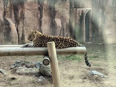 -杭州野生动物世界