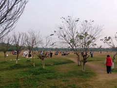 -白鹭湾湿地公园