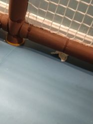-万达宝贝王(漳州碧湖店)