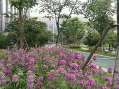 -中国银行江苏省分行培训中心