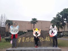 -自贡恐龙博物馆