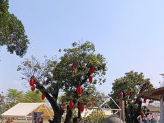 -长洲岛都市农业公园