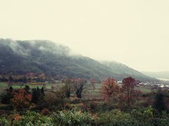 -塔川景区