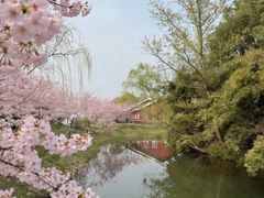 -梁鸿国家湿地公园