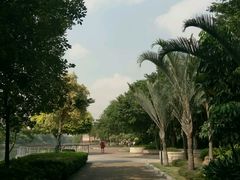 -怡海公园(桂城街道)