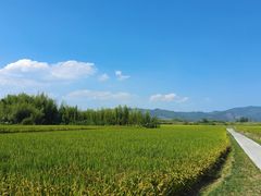 -良渚古城遗址公园