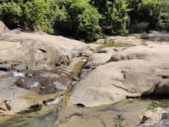 -广州白江湖森林公园